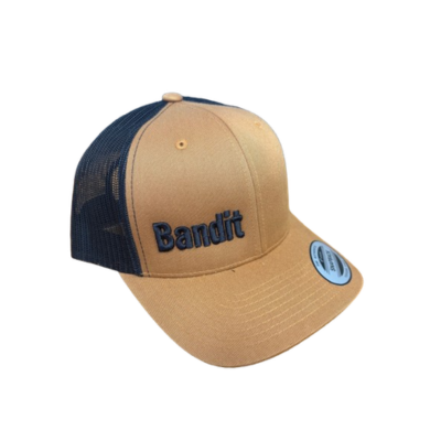 Richardson Snapback