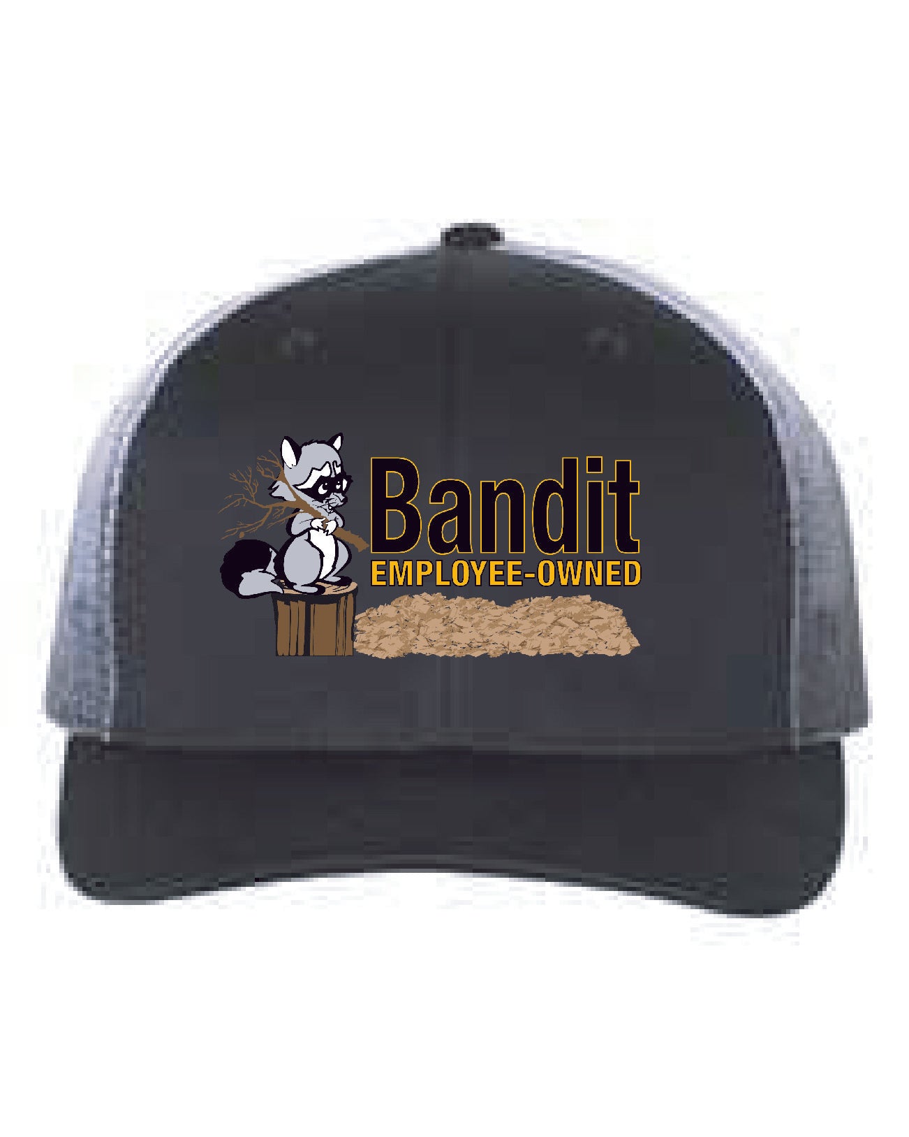 Richardson Snapback Hat
